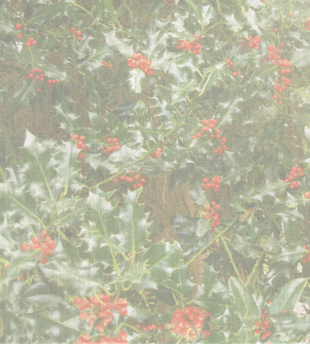 Holly Patterned Cross Stitch Fabric